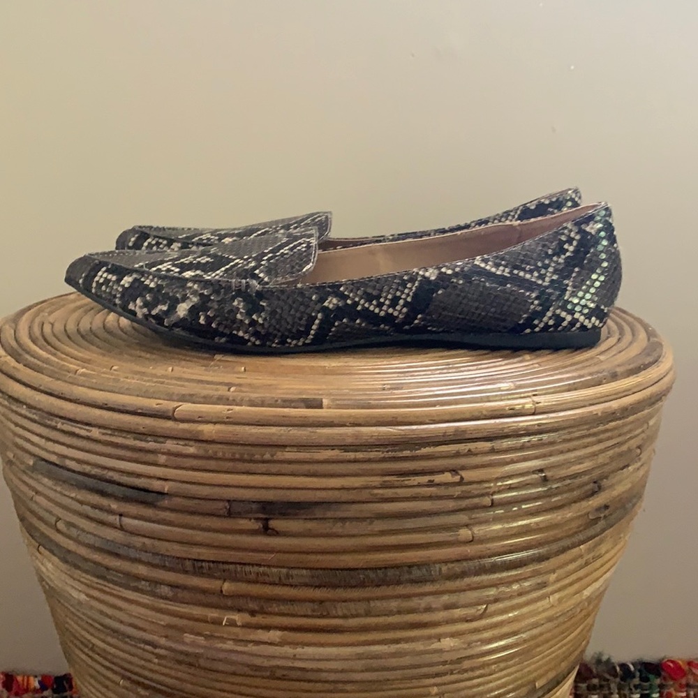Steve Madden Snake Skin Print Pointed-Toe Flats